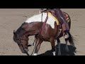 Ken McNabb Emotional Control | How to Calm the Anxious High Headed Horse Through Head Elevation