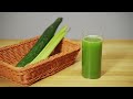 BioloMix SJ-023 Cucumber Celery Juice