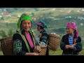 Exploring Sapa, Vietnam Top Attractions, Hidden Gems, and Travel Tips