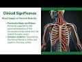 Subclavian Artery and Axillary Artery Explained Easy | Arteries of Pectoral Region