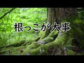 心の栄養不足には【根っこを癒す】ことが大事です