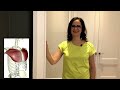 #027 Fifteen Exercises for Shoulder Pain, Impingement, Bursitis, Rotator Cuff Disease