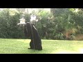 Florida Bear Eating from Bird Feeder