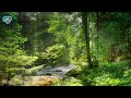 🌟🎶 My Dream - Soothing Piano for Relaxation and Stress Relief | Peaceful Forest Stream