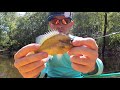 Best Bluegill Bait