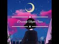 Dreamy Night by Lilypichu - Cover