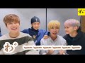 【日本語字幕】騒がしすぎるコンゴンズのVラ【StrayKids/スキズ】