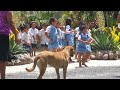 School-kids Dancing in the Cook Islands