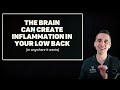 The Real ROOT CAUSE of Chronic Back Pain (pt.6) - Is Chronic Pain In The Brain?