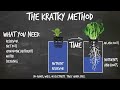 How to Set Up The Kratky Hydroponics Method (Tutorial)