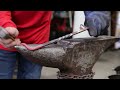 Forged Steak Flipper- Easy Basic Blacksmithing Project Step by Step