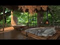 Rain falling sounds in a luxury treehouse in the Brazilian Amazon.