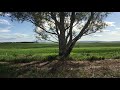 UFO and crop circle locations in Mid North South Australia