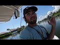 Inshore Fishing for Snook