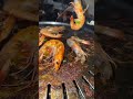 Shrimp ASMR (Korean BBQ) You Eatin’ This?? #stayeatinbruh