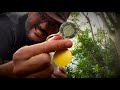 Geocaching for Beginners - Episode 6 - What are Trackables? (#GCNW)