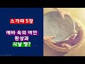 계시록이 열리다(8회) 올림픽과 UFO와 에바속 여인