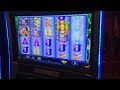 Cheshire Cat slot machine trolling hardcore