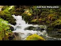 Mountain waterfall river stream | relaxing nature sounds for focus,sleep and relaxation 3 hours