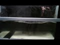 Buster S Underwater Treadmill