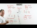 Valvular Heart Diseases | Clinical Medicine