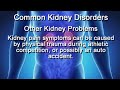 Kidney Pain Symptoms - Signs Of Kidney Stones, Kidney Infection, Renal Failure