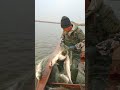 Amazing Unique Tools Fish Trap  Of Catching Lot Of Fish🐟🎣#shorts #viral #fishing