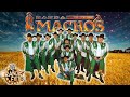 Banda Machos - Puras Rancheras Mix