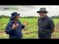 The Inspiring Story of Why He Left His Lucrative Job to Become a Farmer In the Philippines!