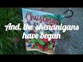 Christmas in July || Grinching the Neighbors #christmasinjuly #grinch #shenanigans #prank