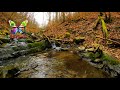 River Sounds For Sleeping 30 Minutes With Beautiful Piano Sleep Music Just In Time For Fall