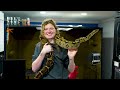 Reptile Room Tour 2024 | Over 100 Reptiles!