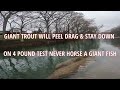 EPIC Trout FISHING | Guadalupe River - New Braunfels, Texas