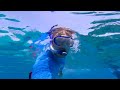 Snorkeling, Green Bay, Cyprus - Greek Underwater Statues 2023 4K