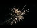Dog Race 100 Shot Firework 💥