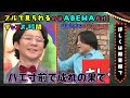 永野がアンジャッシュ渡部にブチギレ…リンダカラー♾️の悩み相談そっちのけで、過去の因縁をぶつける！ #行列のできるブチギレ相談所 『 #チャンスの時間 #263』#ABEMA で無料配信中