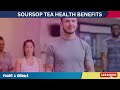 Soursop Tea Health Benefits (Doctors Shocked After Knowing 12 Health Benefits Of Soursop) Graviola