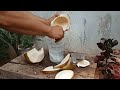 the easy to peel young coconut part 19#cuttingskills #coconutcuttingskills #youngcoconut#coconuttree