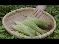 여름채소와 함께 자급자족 일상 🌽🍅🍆 Summer Vegetables and fruits in South Korea ☔️