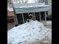 Алёшка Емельянов - Пёс на сугробе #притча #хатико #зима #рок #аудиокнига #россия #книжныйобзор
