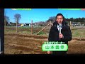 蓮田市 掘り出し物が すごい。