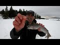 Hair Jigs Ice Fishing for Trout Deadly Effective