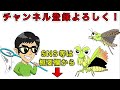 1日本気でセミ採集したら何種類採れるのか？！(関西地方編)