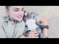 Cutest Koala Compilation Ever