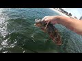 Coney island pier September 2021 underwater view