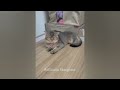 🐱 Cute and Funny Pet Moments Caught on Camera 🐱😸 Funny Videos Compilation 🐱😹