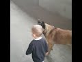 Dog & boy