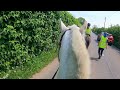 CHARLOTTE GOES ON A HACK 2024 EQUESTRIAN HORSE RIDING