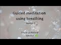 Guided meditation with breathing - #12 - The Silva Method Ireland