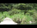 2011/09/03　宮崎県境川（１）